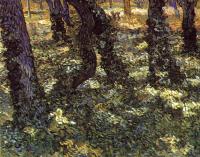 Gogh, Vincent van - Trunks of Trees with Ivy